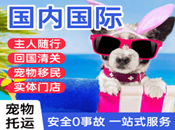 北京大兴航空托运国际宠物托运 【国